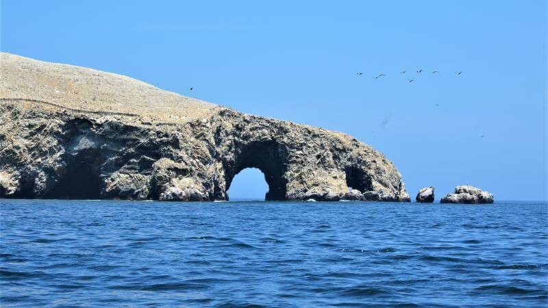 Paracas, divoká zvířata a rozsáhlá poušť