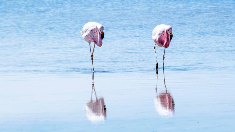 San Pedro de Atacama - všechny krásy Jižní Ameriky na jednom místě