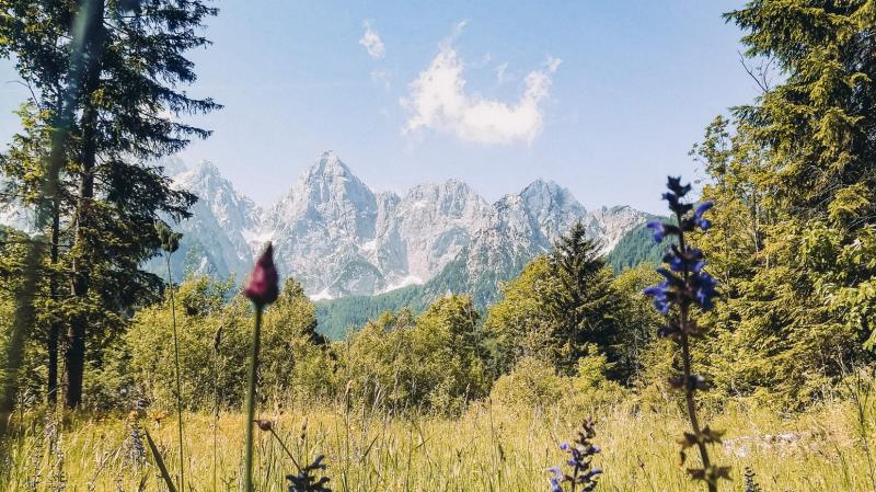 Kranjska Gora a Julské Alpy – tipy na výlety